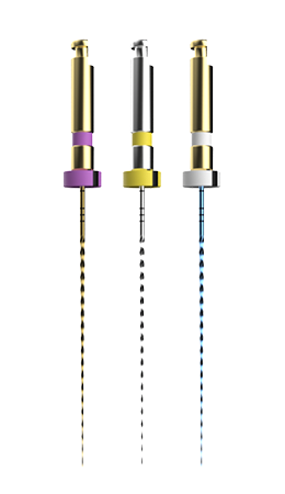 E-FLEX PATH