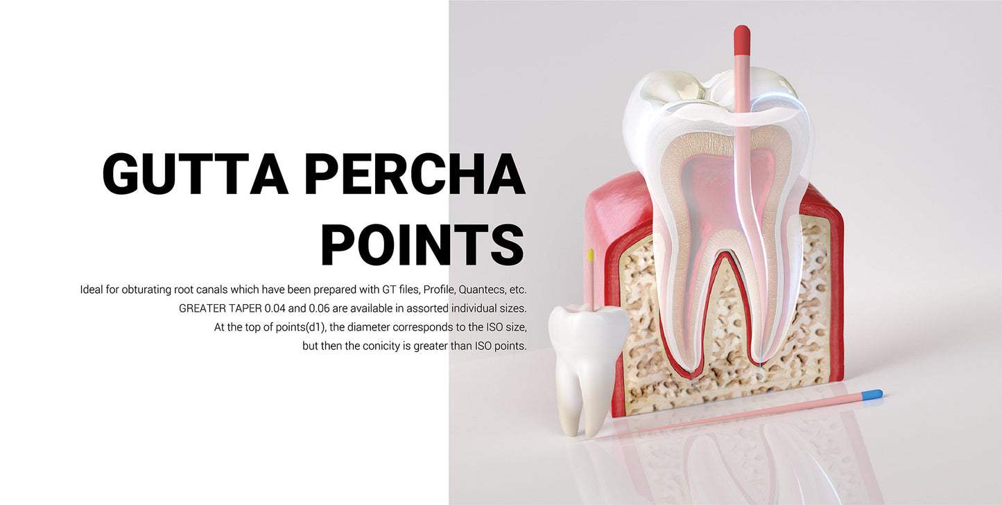 Gutta Percha Points